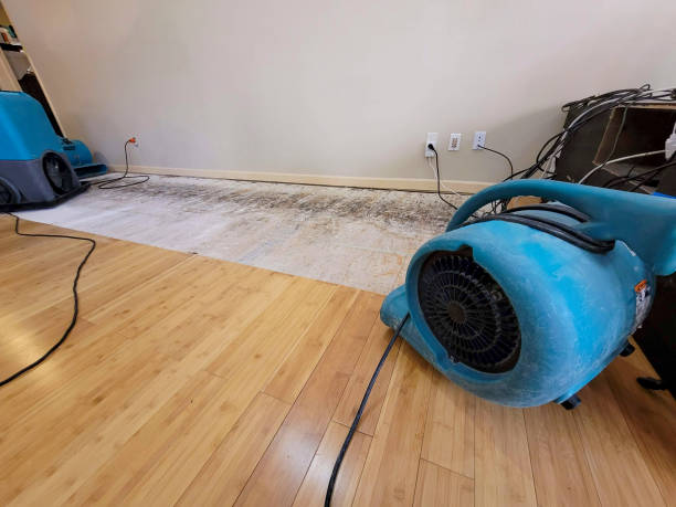 Professional Emergency Water Damage technician working in Waterville, MN